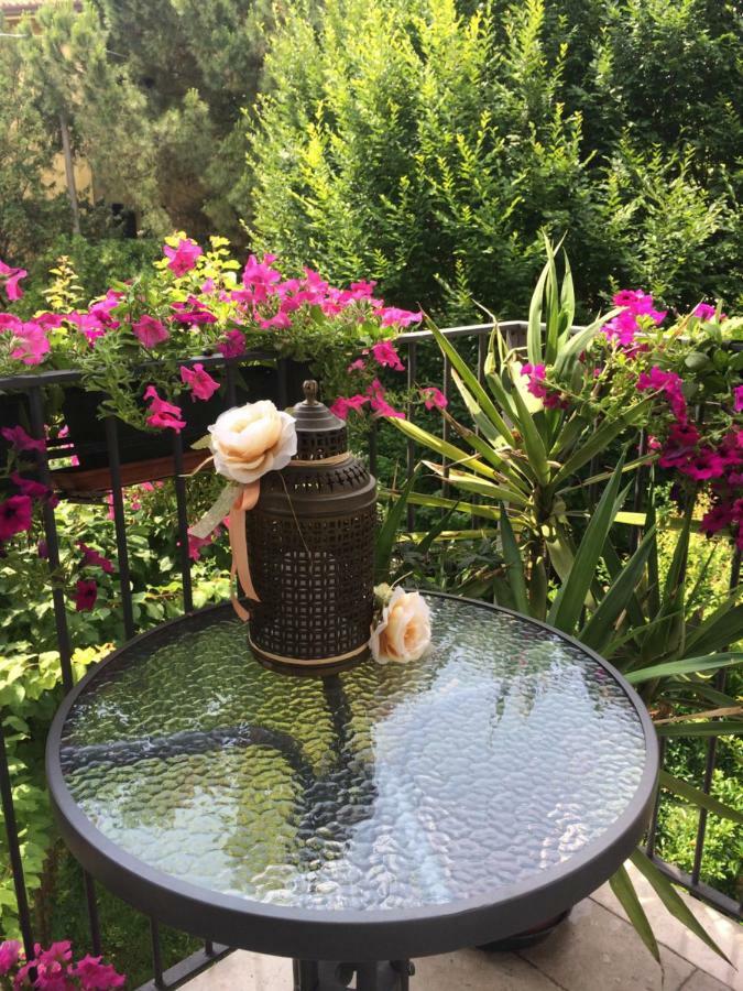 Bed & Breakfast Canova Treviso Dış mekan fotoğraf
